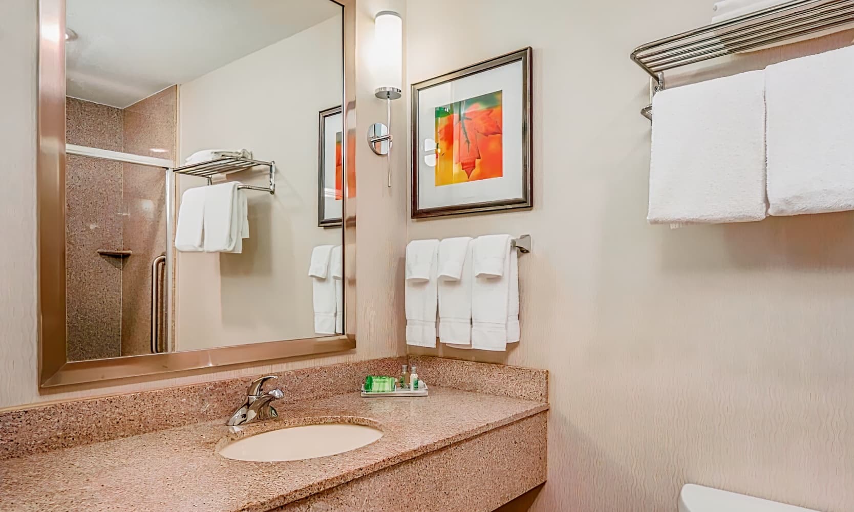 Holiday Inn Stevens Point - Convention Center