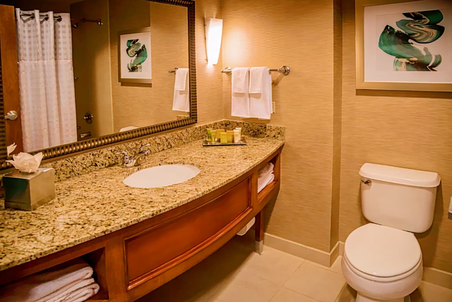 Hilton St. Petersburg Carillon Park