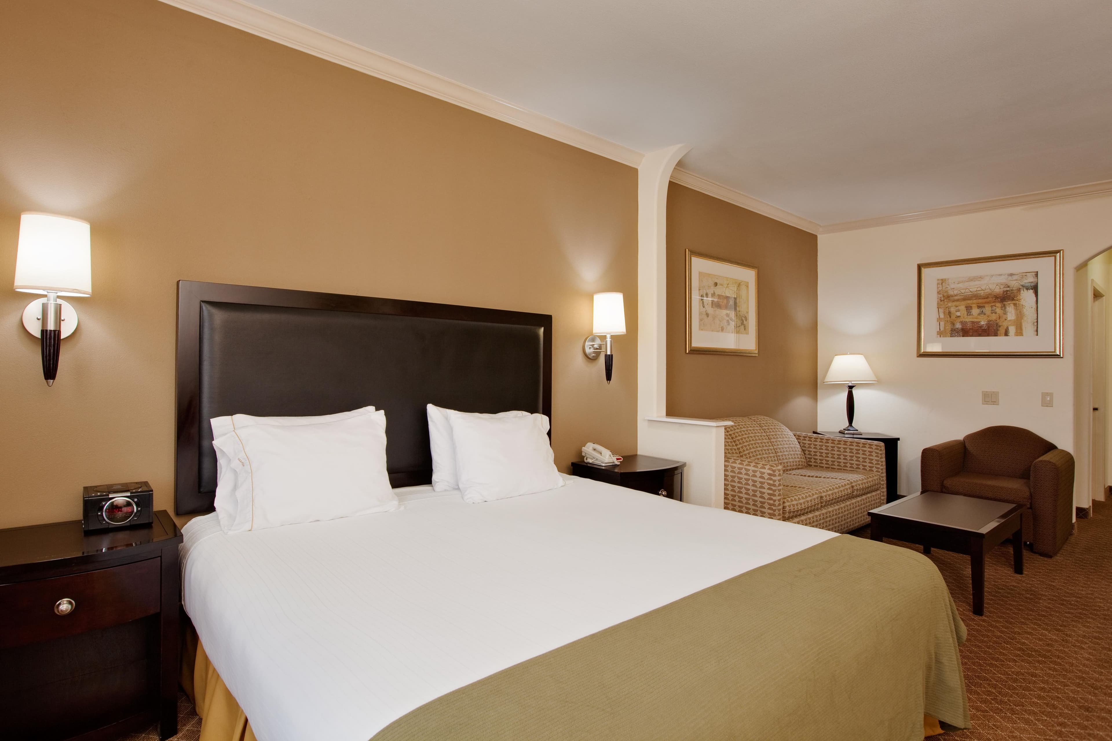Holiday Inn Express & Suites La Porte, an IHG Hotel