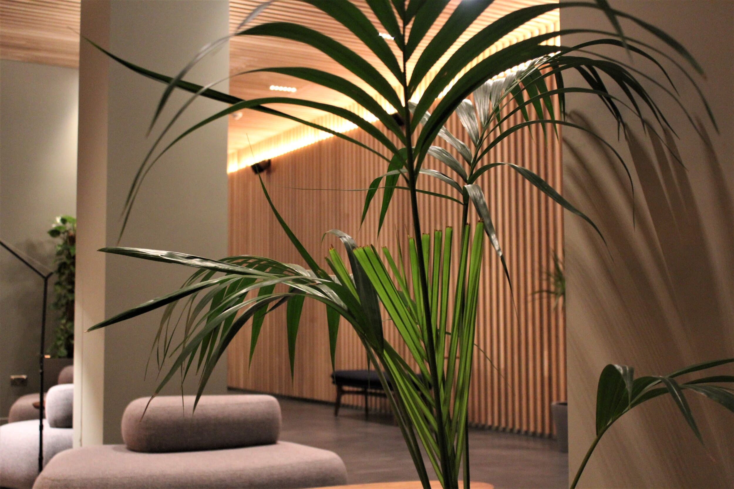 Zedwell Knightsbridge