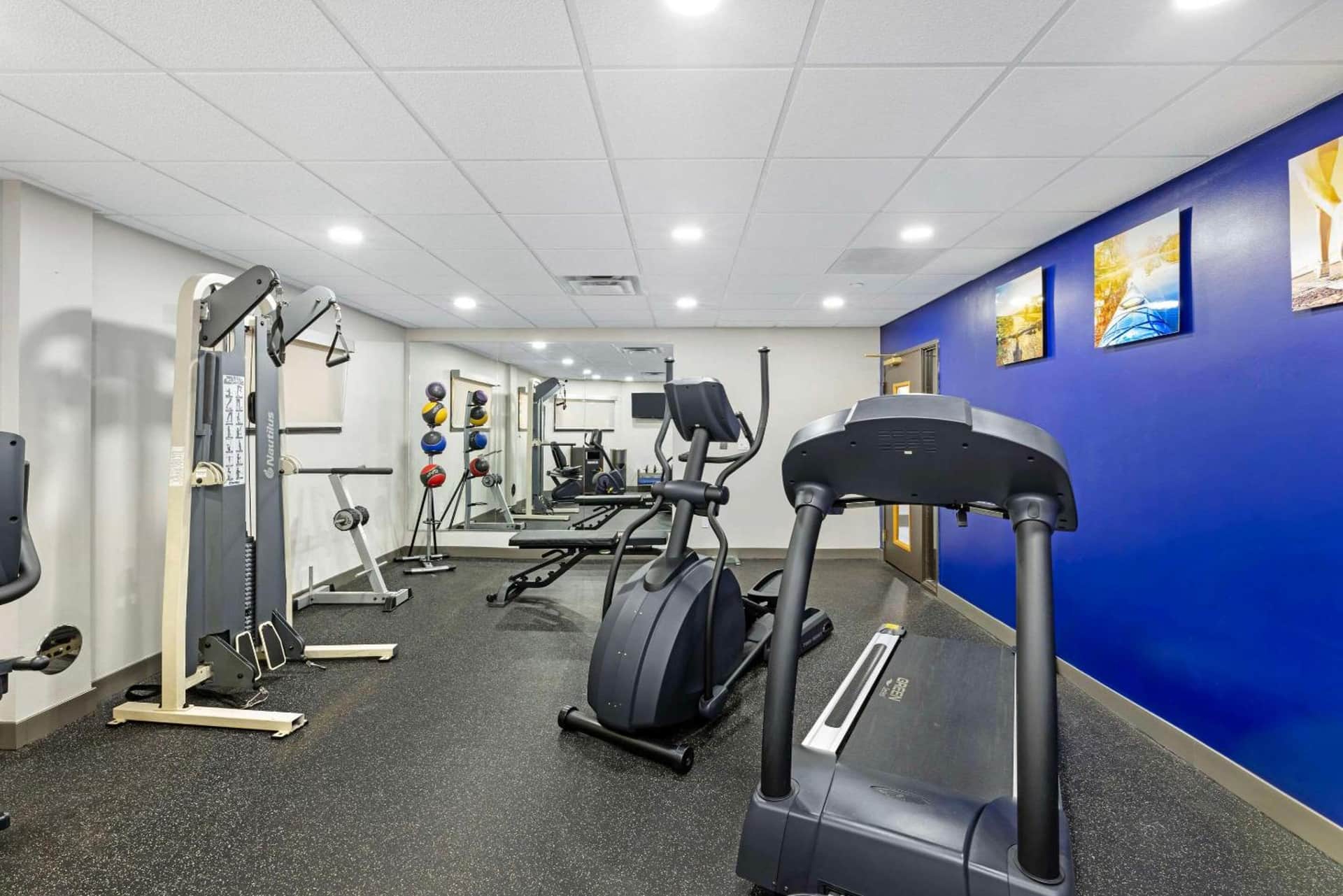 Comfort Inn & Suites Arlington Heights - Schaumburg