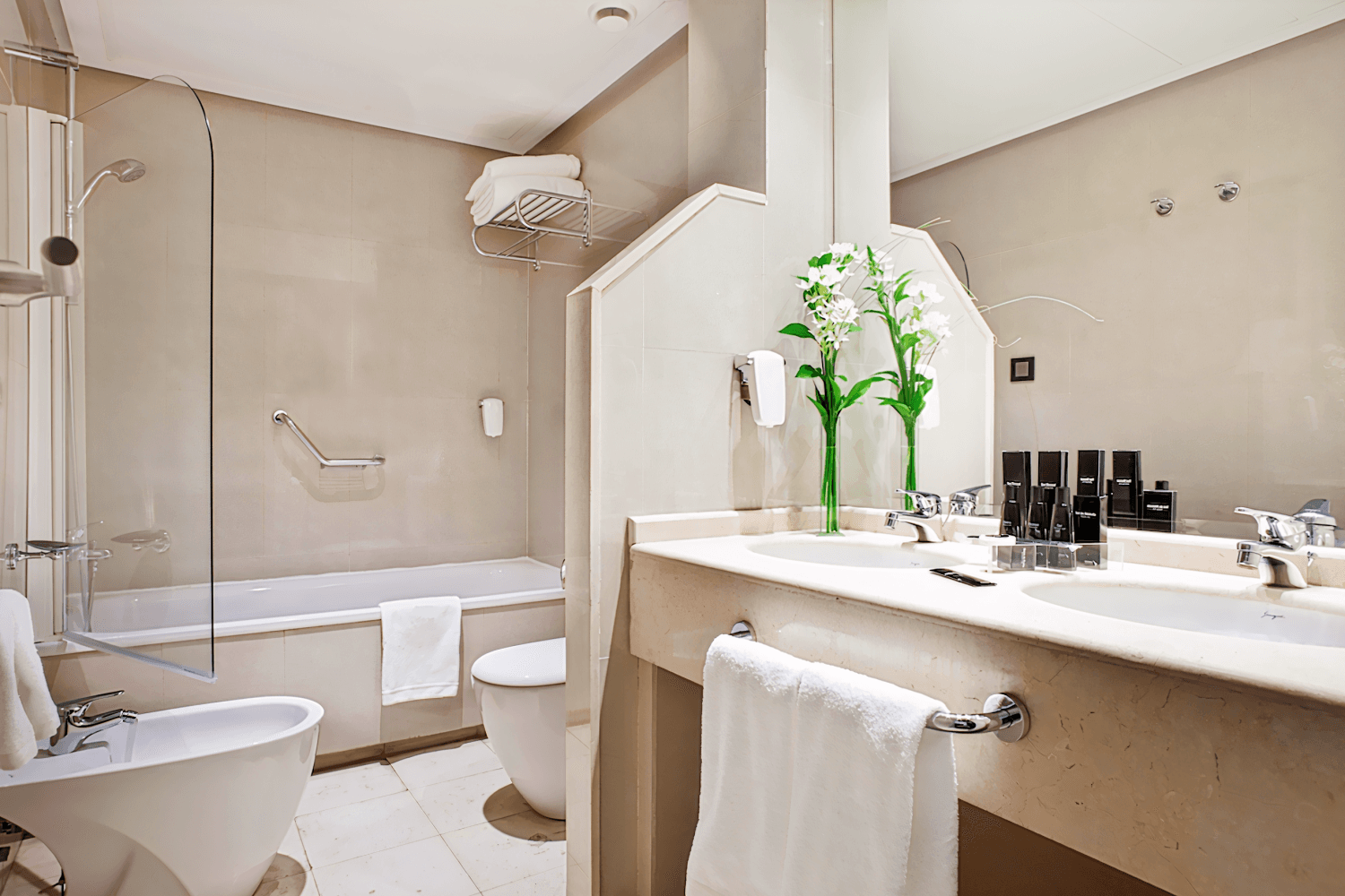 Hotel Princesa Plaza